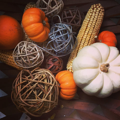 Thanksgiving Offerings