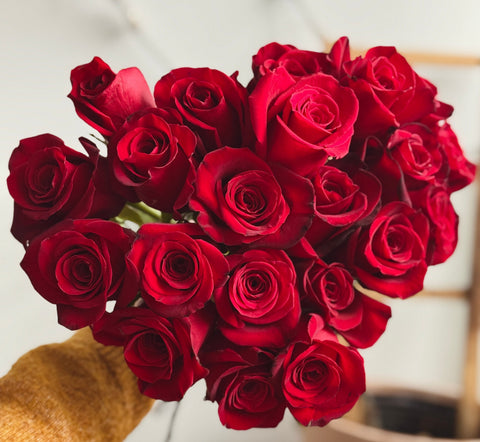 Classic Roses
