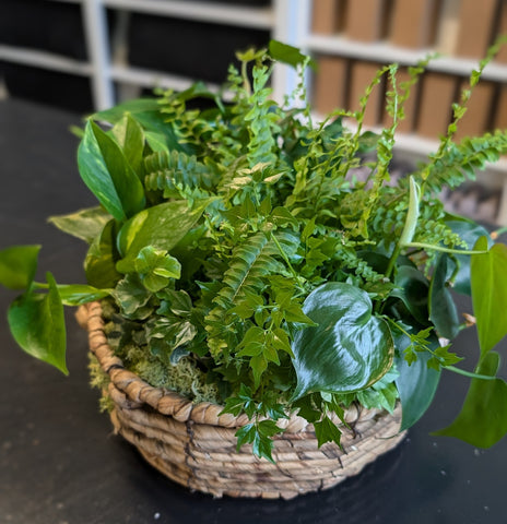 Secret Garden Basket