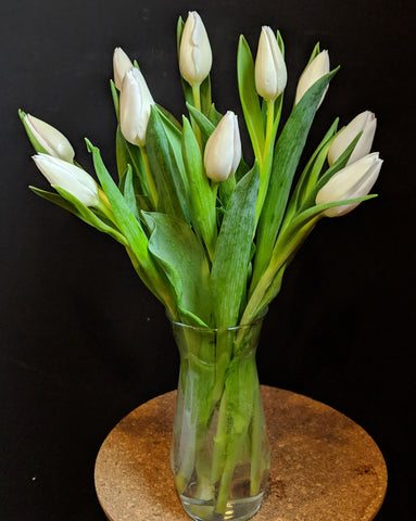 Simply Tulips - White