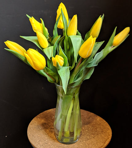Simply Tulips - Yellow