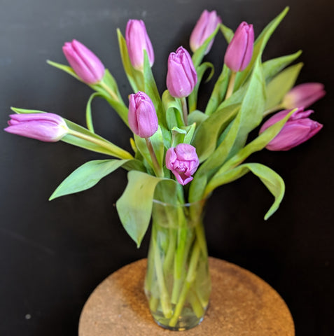 Simply Tulips - Purple