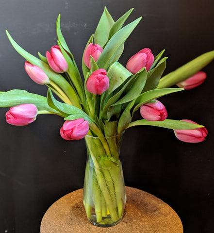 Simply Tulips - Pink