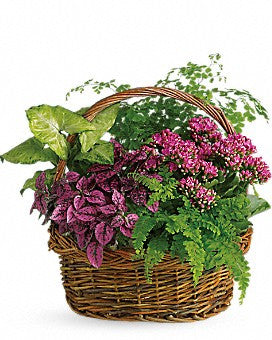 Blooming Garden Basket