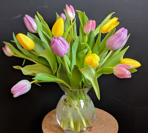 Colorful Tulips